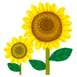 682.png