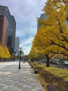 胃腸.jpg