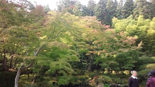 IMG_20151020_113340.jpg
