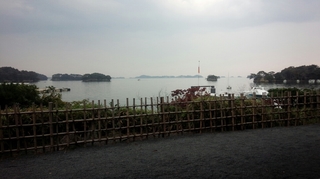 IMG_20151020_143957.jpg