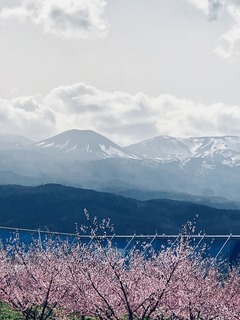 雪うさぎ